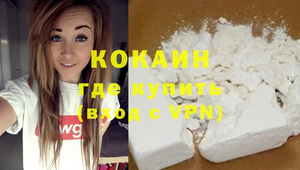 прущие грибы Лихославль