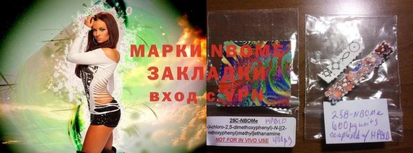 прущие грибы Лихославль